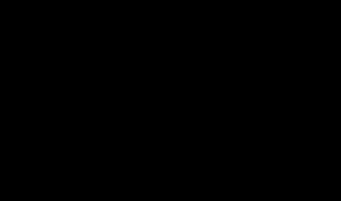 Black And White Vintage GIF