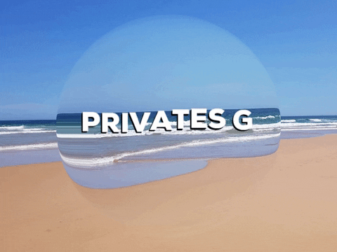 School Background GIF by PrivatschulenPORTAL.de