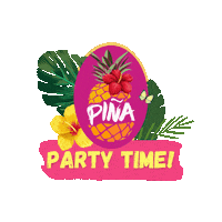 Pinanl Sticker by Pina Netherlands