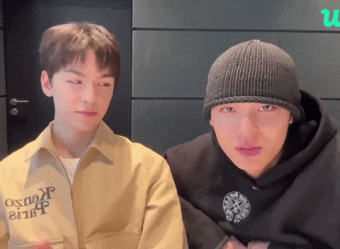 Vernon GIF