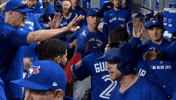 Blue Jays Baseball GIF by Toronto Blue Jays