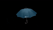 Umbrella GIF by ETH Zurich