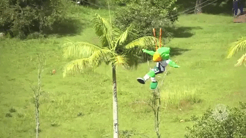 Palmeiras giphygifmaker resort palmeiras voando GIF