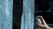 music video country GIF