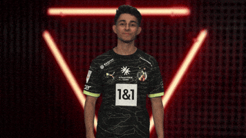 bundesliga football soccer bundesliga esport GIF