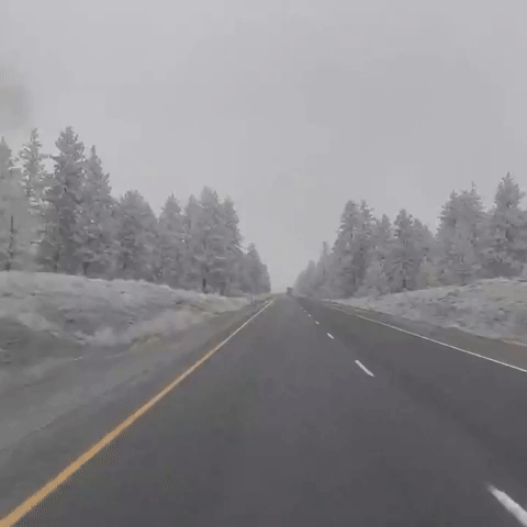 Light Snow Falls on Washington