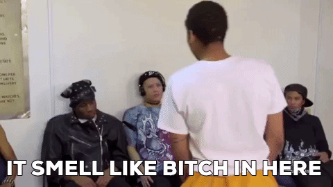 adult swim smell like bitch in here GIF