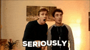 Sean Flanagan Seriously GIF by FoilArmsandHog