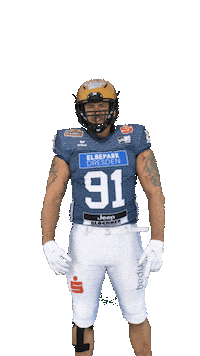 Football Flex Sticker by Dresden Monarchs