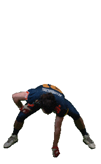 Football Sport Sticker by Dresden Monarchs