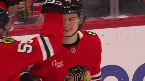 Chicago Blackhawks Hug GIF by TheDreamTeam 