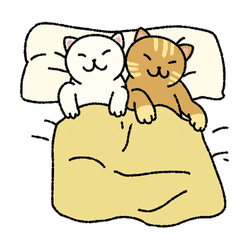 Cat On Bed Stickers - Find & Share on GIPHY