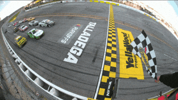 Stock Car Racing GIF by NASCAR