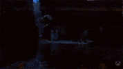 Halo Infinite GIF by Xbox