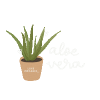My Skin Skincare Sticker by Luxe Organix PH