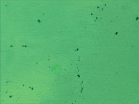 water shake GIF by The NGB