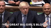 Boris Johnson Parliament GIF