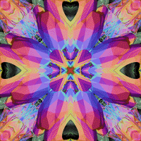 Rainbow Loop GIF