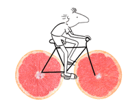 Pale Ale Summer GIF