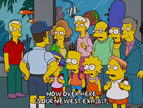 bart simpson GIF