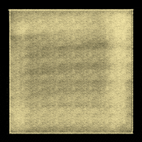 aspazeli bird eye hat glas2022 GIF