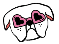 Dog Sunglasses Sticker by Munchkin