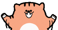 guguguhk clap congratulations tiger bigcat Sticker