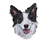 Dog Sticker