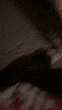 France Hello GIF