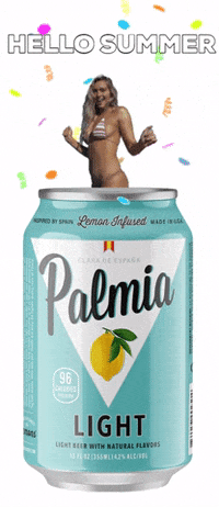Party Celebrate GIF by Palmia Beer