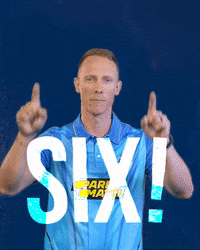 MICapeTown cricket score six rassie GIF