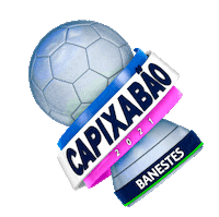 Futebol Capixaba Sticker by futebolcapixabaoficial