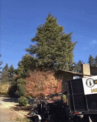 madmoizelledotcom  GIF