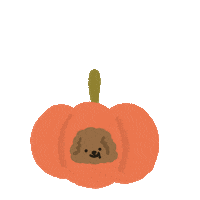 Halloween Pumpkin Sticker by kco