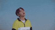 Seungkwan GIF by SEVENTEEN