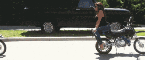 gifys GIF by The .GIFYS