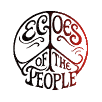 Festival Echoes Sticker by Conecto