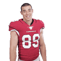 Arizona Cardinals Football Sticker by NFL