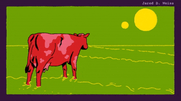 Out of Pasture