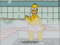 homer simpson episode 6 GIF