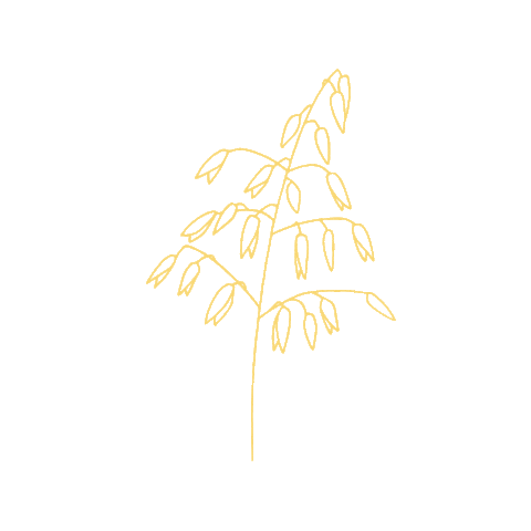 Surdeig Sticker by Dalheim Gaard