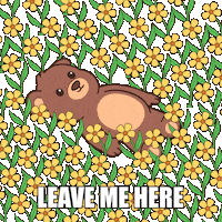 Happy Teddy Bear Sticker by BEARISH