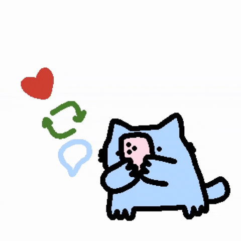 Spainnubcat GIF