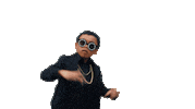 swag sunglasses Sticker by Anderson .Paak
