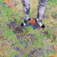 ballet socks GIF by GIPHY CAM