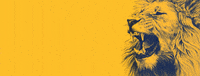 AEL_FC  GIF