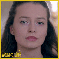 Family Reaction GIF by Eccho Rights