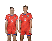 Czech Republic Fight Sticker by Czech Handball