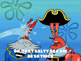 season 6 grandpappy the pirate GIF by SpongeBob SquarePants