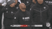 National Football League GIF by NFL